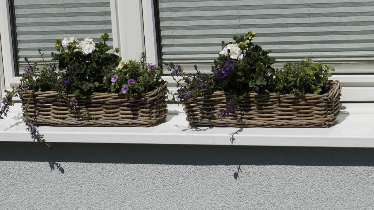 Ferienwohnung Wiesenblick Nahe Region Celle Und Hannover Buchholz Buitenkant foto