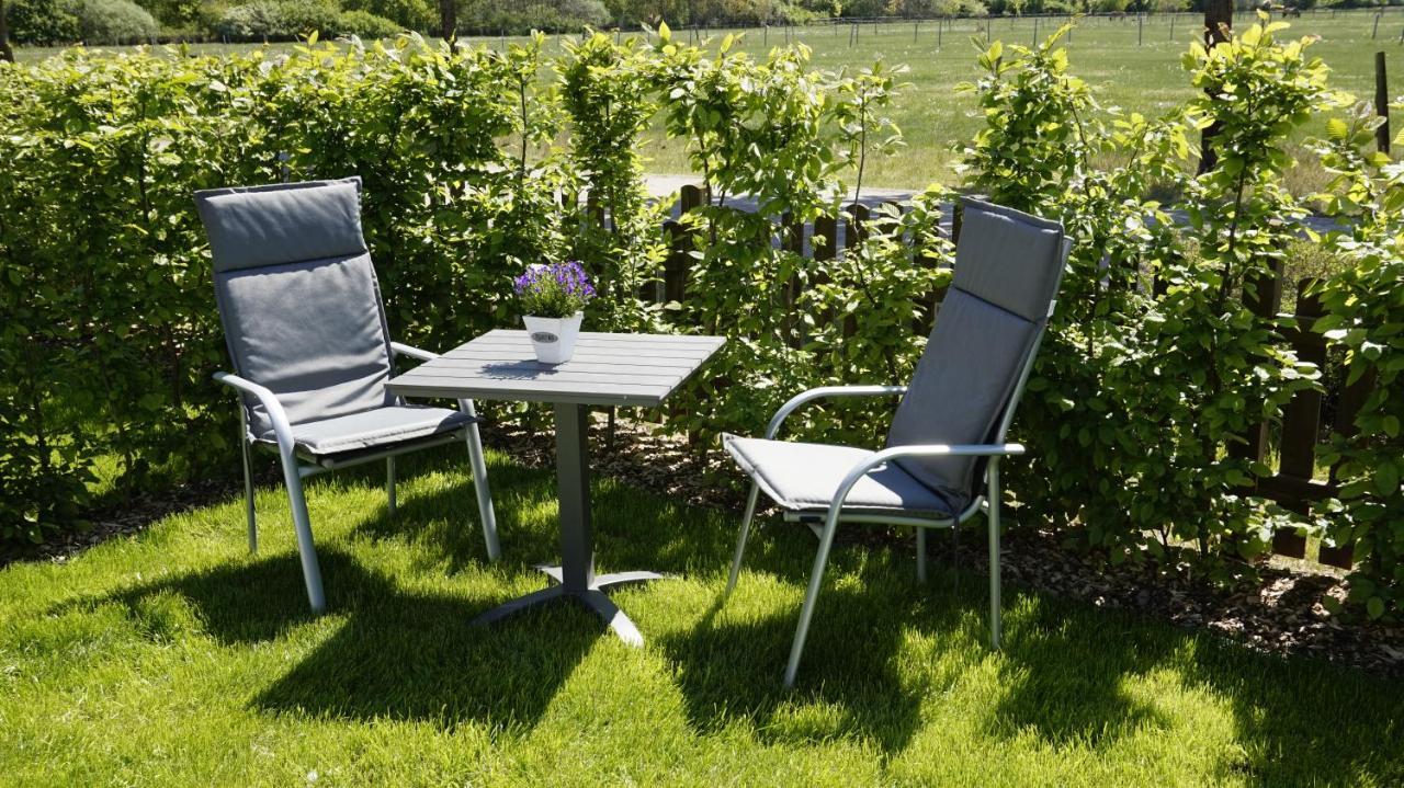 Ferienwohnung Wiesenblick Nahe Region Celle Und Hannover Buchholz Buitenkant foto