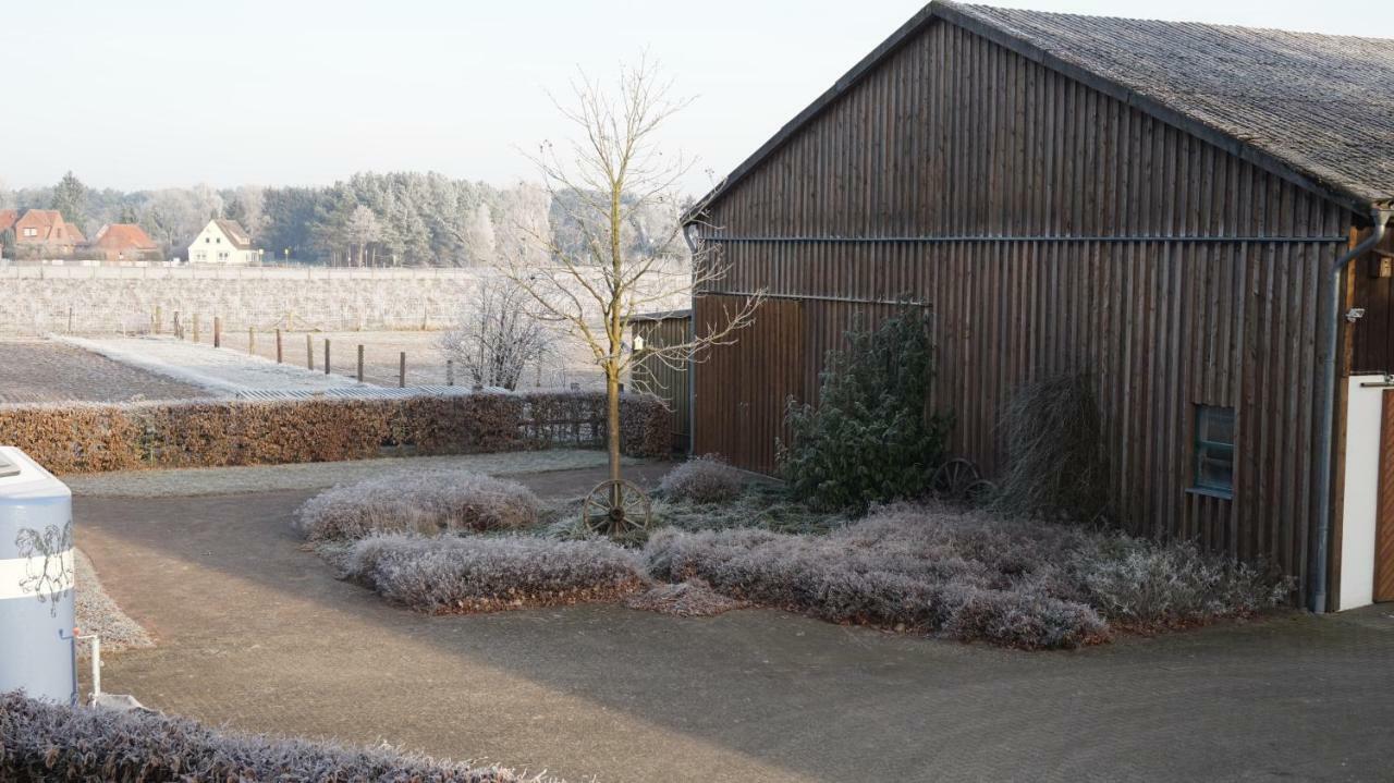 Ferienwohnung Wiesenblick Nahe Region Celle Und Hannover Buchholz Buitenkant foto